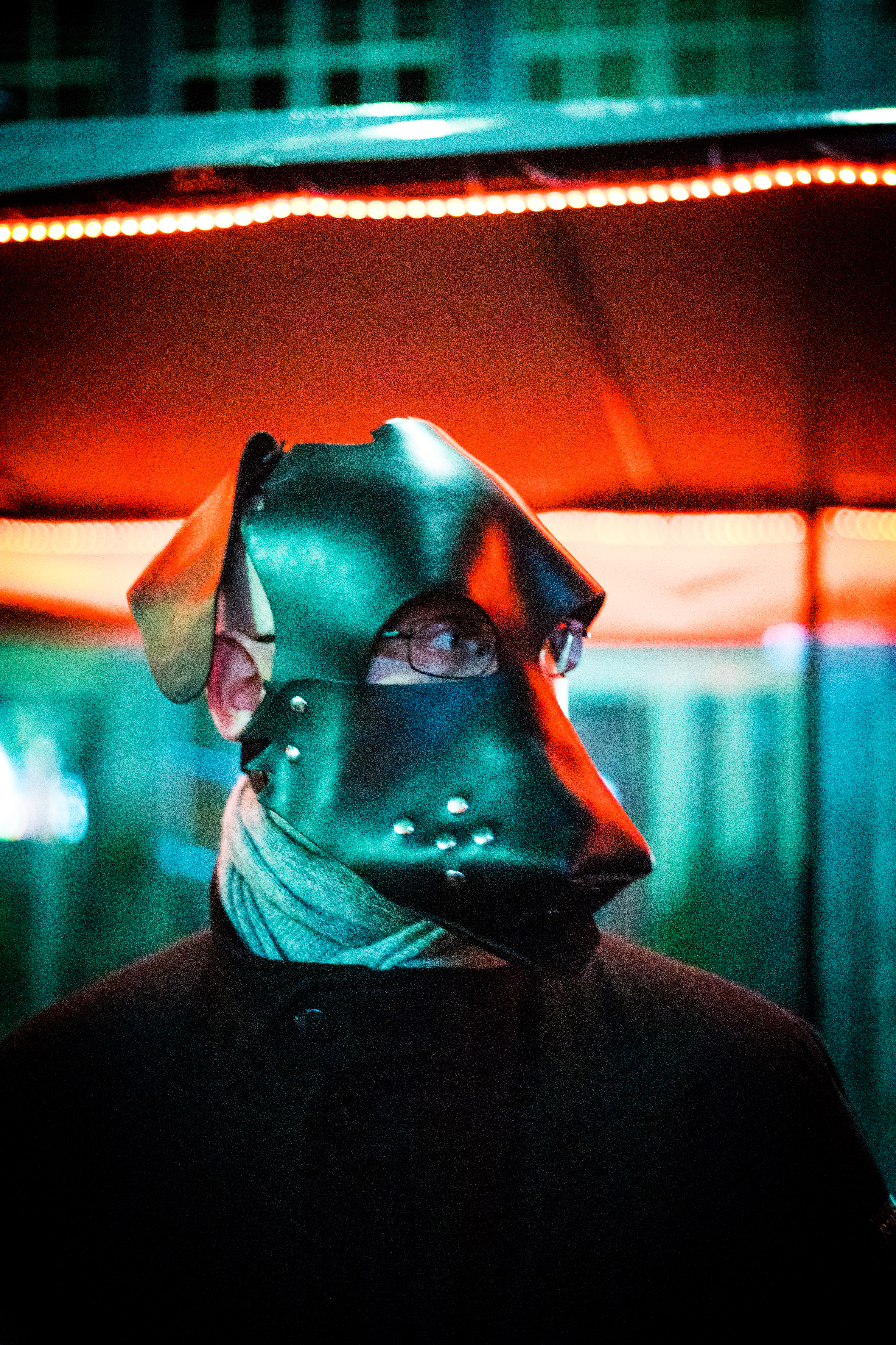 Human Puppies x Süddeutsche Zeitung — 2022