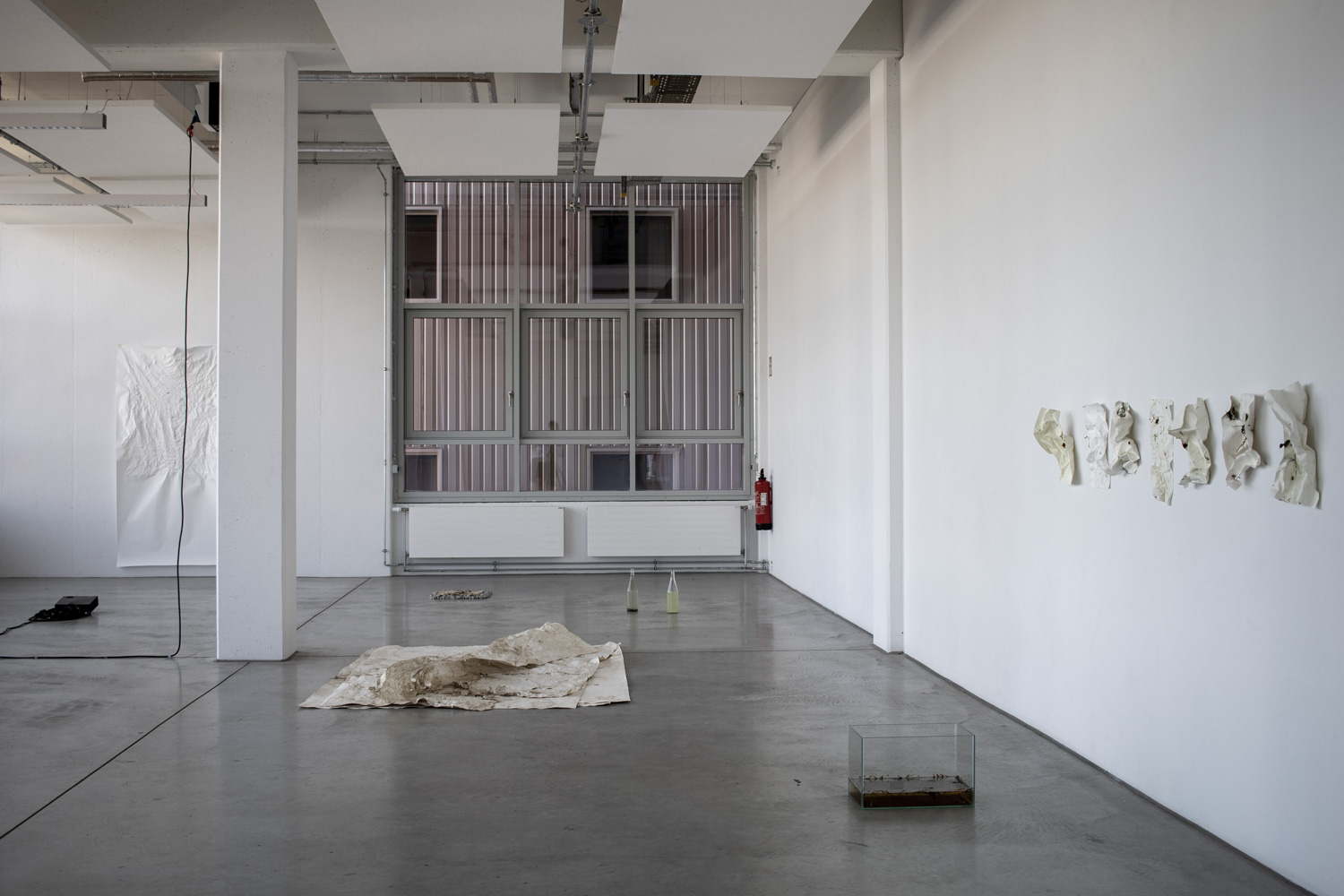 Fotodoc x Jessica Maria Toliver