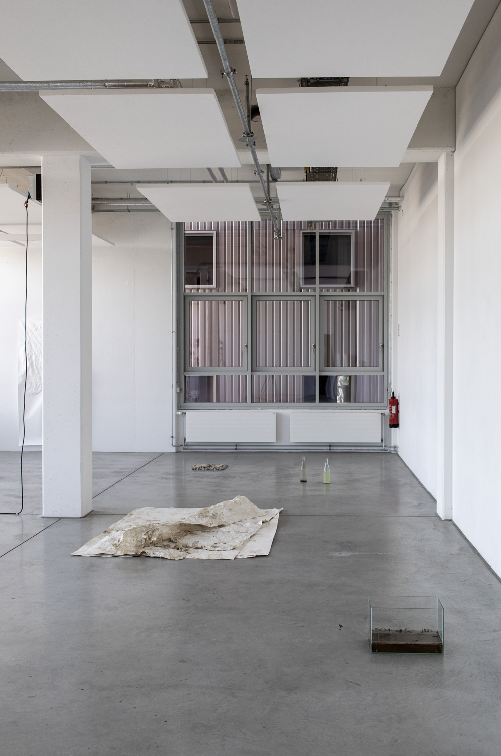 Fotodoc x Jessica Maria Toliver