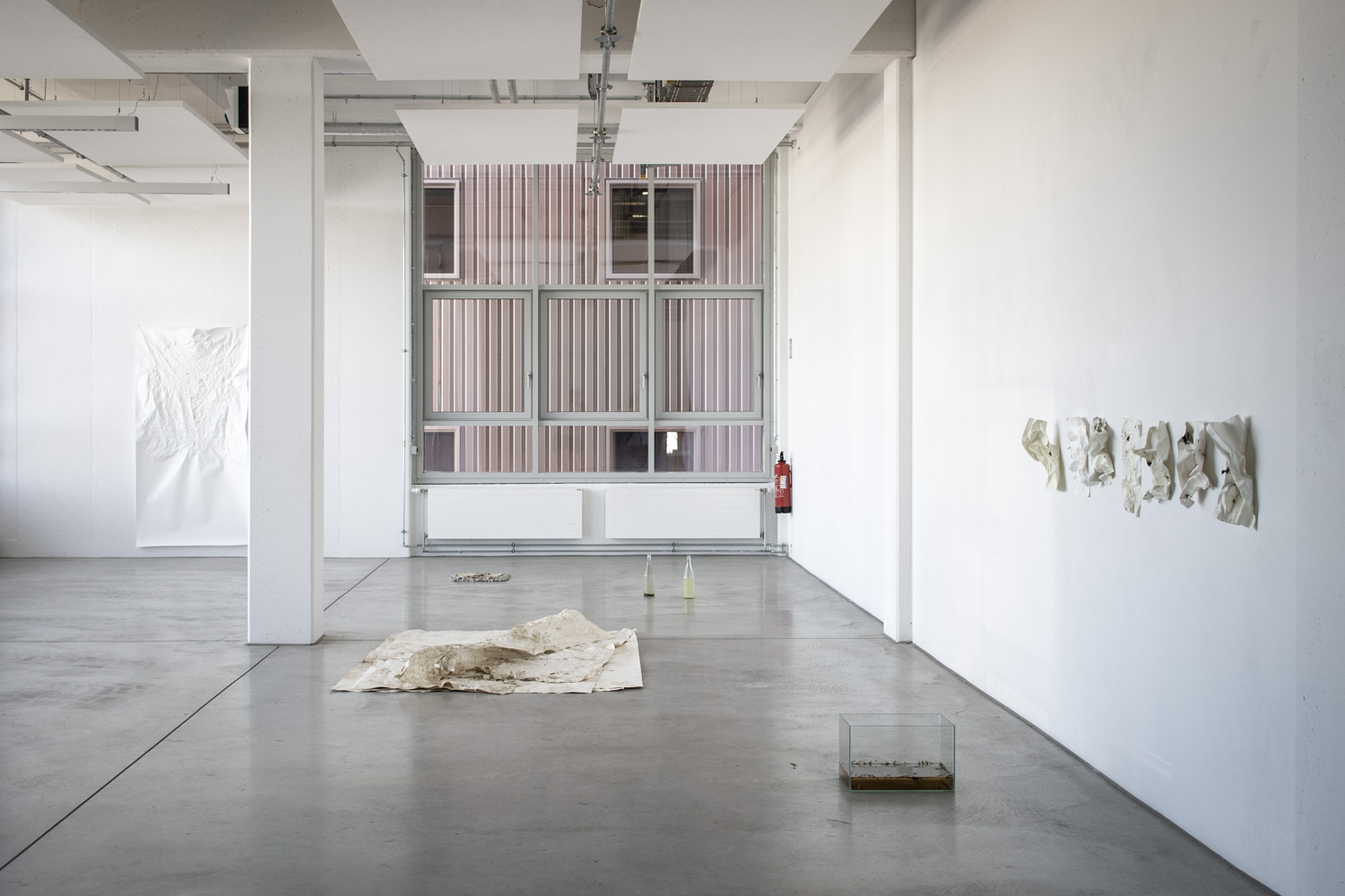 Fotodoc x Jessica Maria Toliver